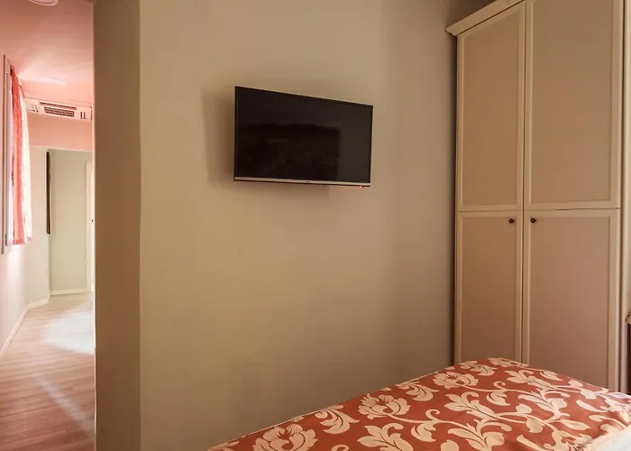 Angelica 博洛尼亚